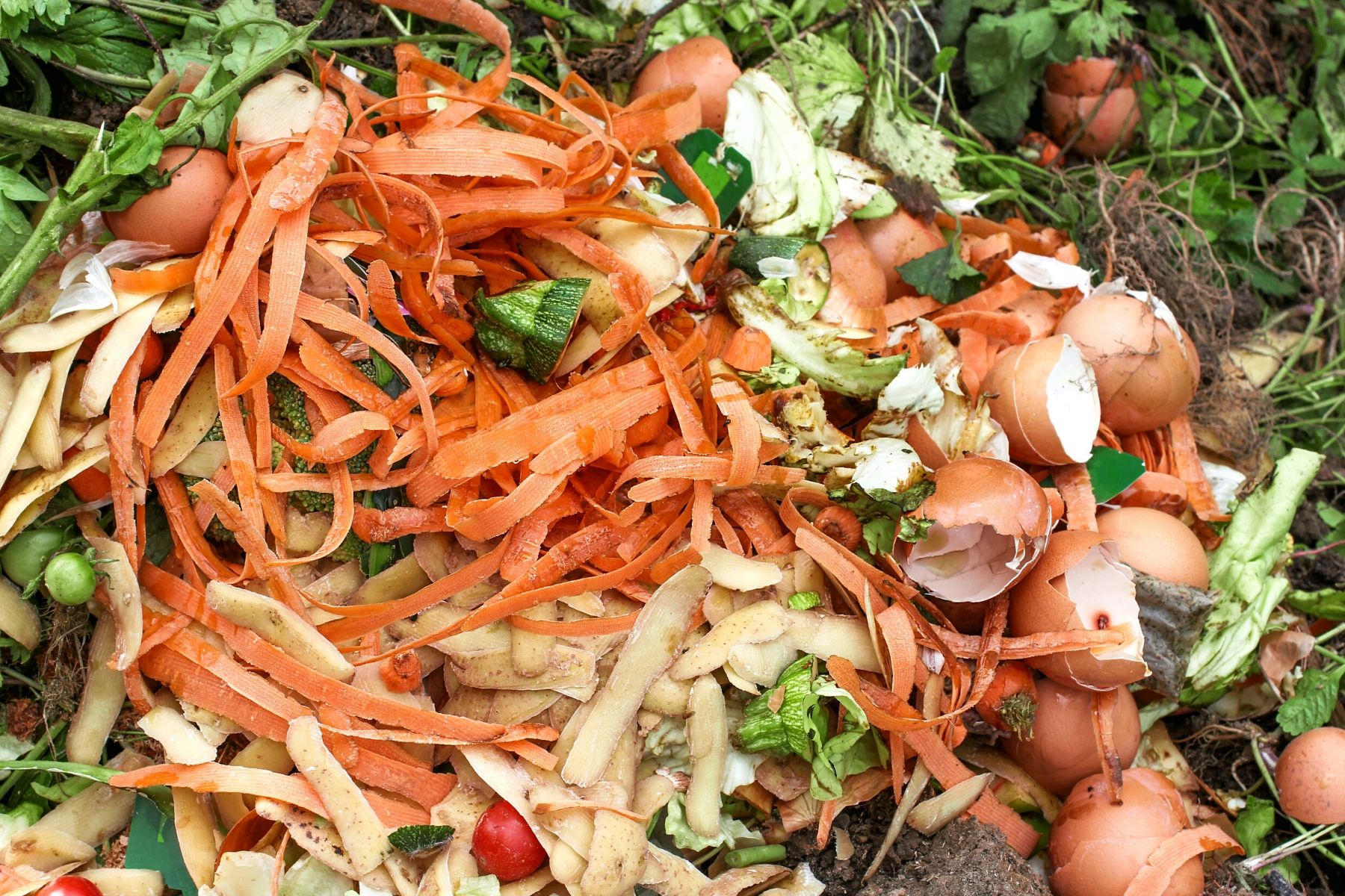 giving-food-waste-a-second-life-clean-water-action